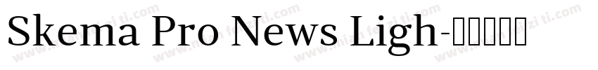 Skema Pro News Ligh字体转换
